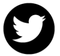 pay-icon